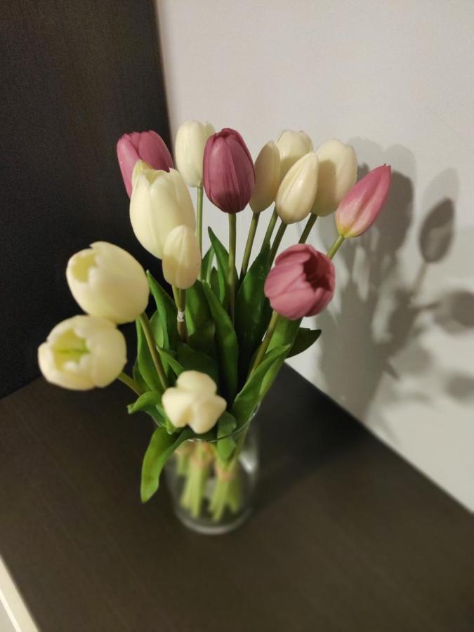 Casa Vacanze Zia Rose Nápoly Kültér fotó